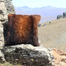 Load image into Gallery viewer, Red Beech Cushion