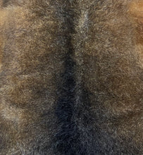 Load image into Gallery viewer, Fiordland Possum Collar
